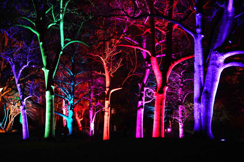 Mannheim Luisenpark Winterlichter 2020 (Foto: Holger Knecht)