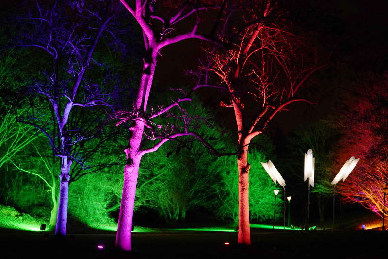 Mannheim Luisenpark Winterlichter 2020 (Foto: Holger Knecht)