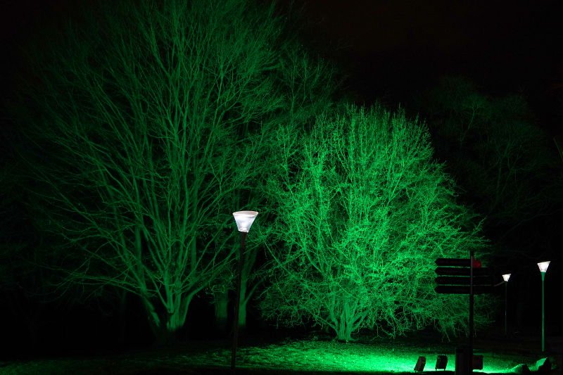 Mannheim Luisenpark Winterlichter 2020 (Foto: Holger Knecht)