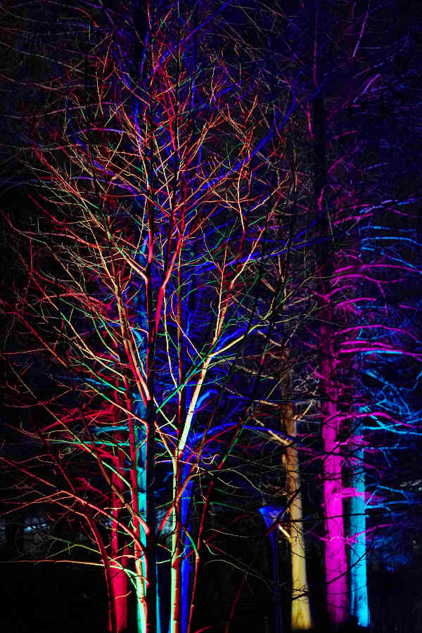 Mannheim Luisenpark Winterlichter 2020 (Foto: Holger Knecht)