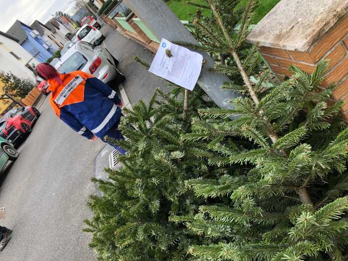 Die Jugendfeuerwehr sammelt die Weihnachtsbäume ein
