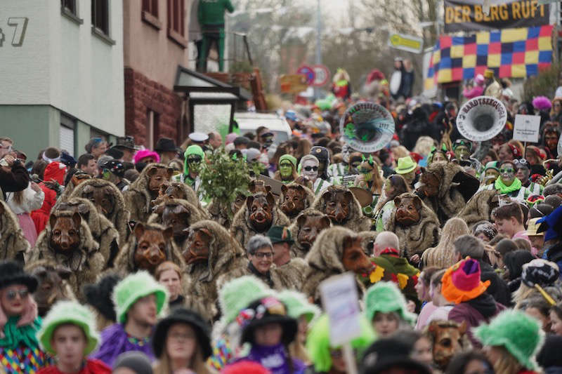 Ettlingen Schöllbronn Fasenachtsumzug 2020 (Foto: Holger Knecht)