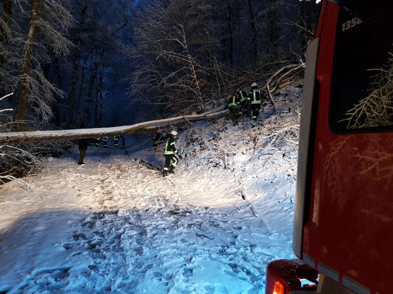 Schneebrucheinsatz auf der K 3 (Foto: Feuerwehr Neustadt)