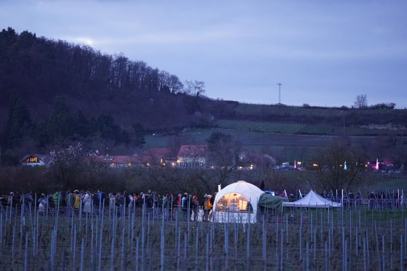 Bad Dürkheim Weinbergnacht (Foto: Holger Knecht)