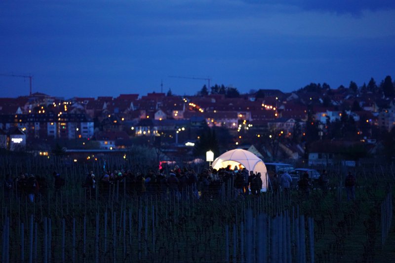 Bad Dürkheim Weinbergnacht (Foto: Holger Knecht)