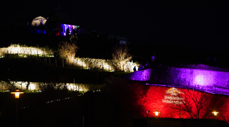 Bad Dürkheim Weinbergnacht (Foto: Holger Knecht)