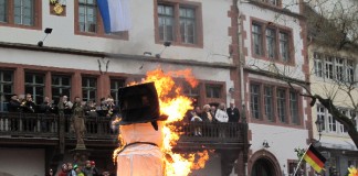 Der Weinheimer Sommertagsumzug (Foto: Stadt Weinheim)