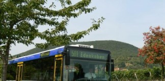 Symbolbild Palatina-Bus (Foto: Palatina Bus GmbH)