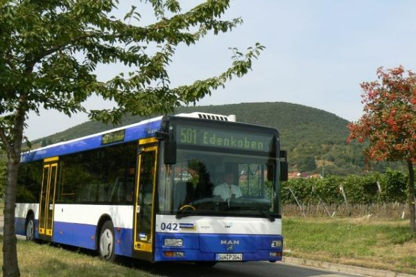 Symbolbild Palatina-Bus (Foto: Palatina Bus GmbH)