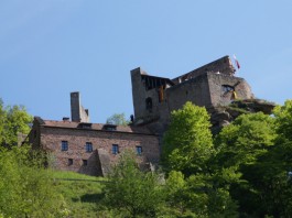 Die Burg Spangenberg bei Erfenstein (Foto: Holger Knecht)