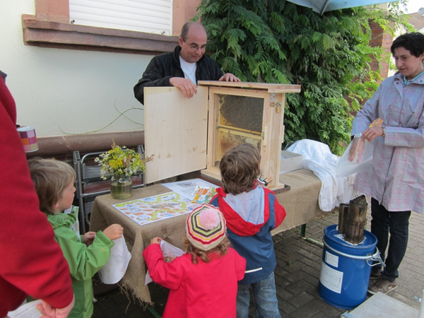 img-137842-GluecklicheBienen.jpg