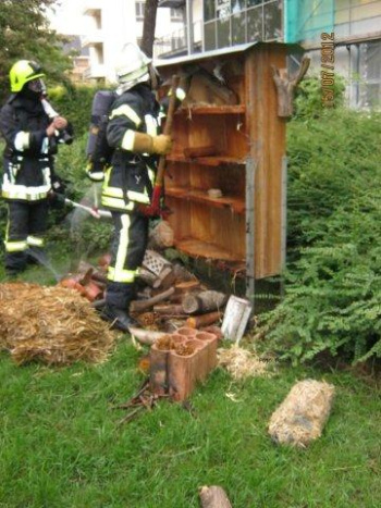 img-135345-FT-Bienen.jpg