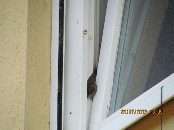 img-134047-IMG_4481.jpg