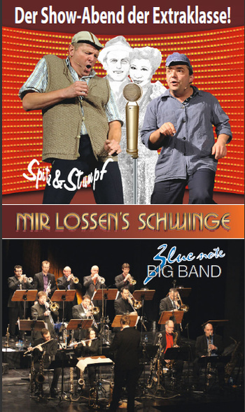 img-133016-Mirlossensschwinge.jpg