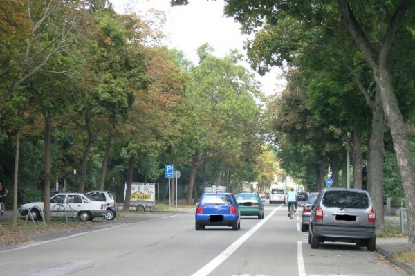 img-131676-Radeln.jpg