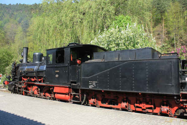 img-131498-Kuckucksbaehnel-PiaNeumann.jpg
