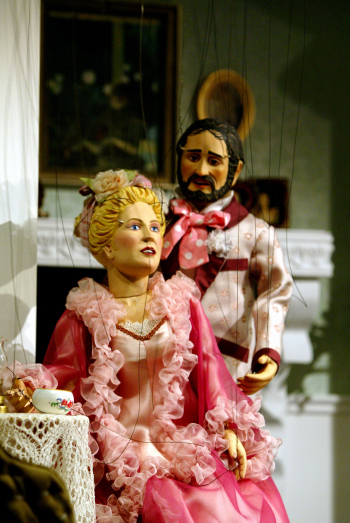 img-131356-Fledermaus.jpg