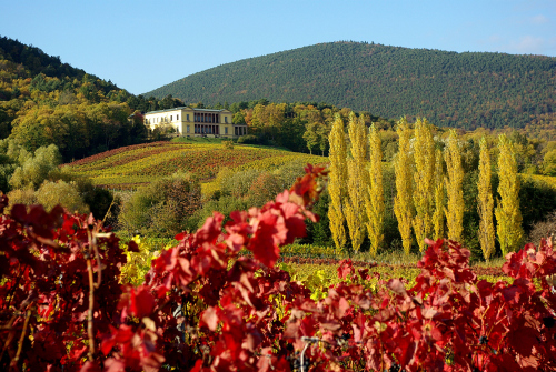 img-131073-villa-1.jpg