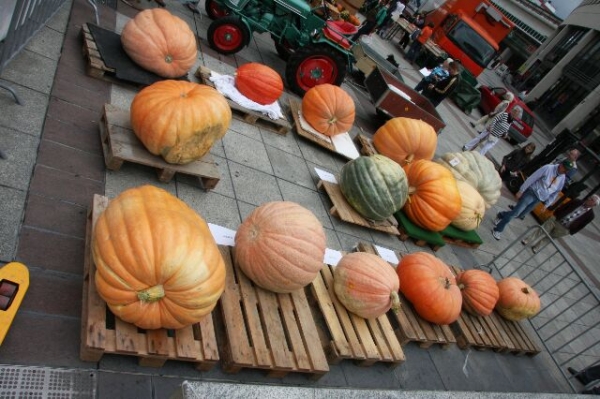 img-129389-Kuerbismarkt_0.jpg