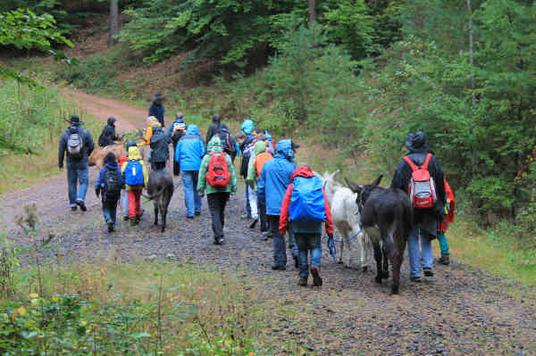 img-128831-Eselwandern001.jpg