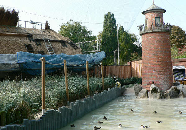 img-128481-Reetdach_2.jpg
