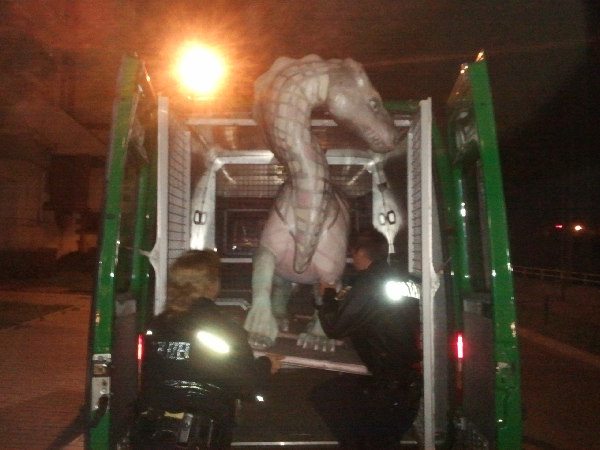 img-127492-Drache_0.jpg