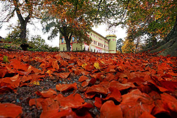 img-127158-SchlossHerrnsheim-RudolfUhrig.jpg