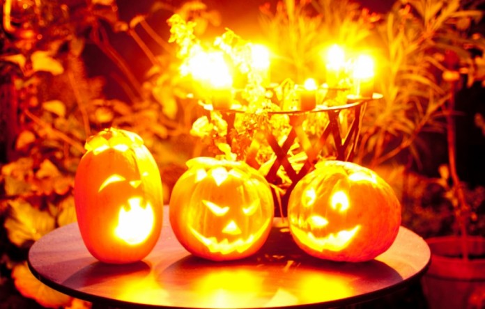 Die Organisation Tierhilfe Frankenthal warnt vor unachtsamen Umgang mit Hallowennfeuer