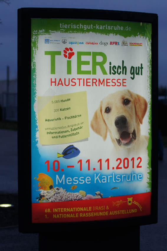 img-126316-Tierischgut.jpg