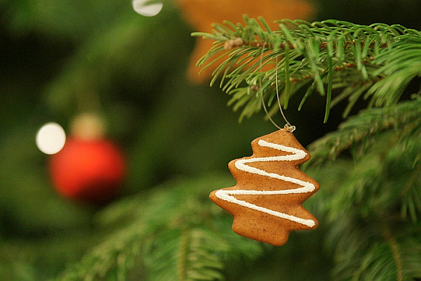 img-120306-Weihnachten-001_0.jpg