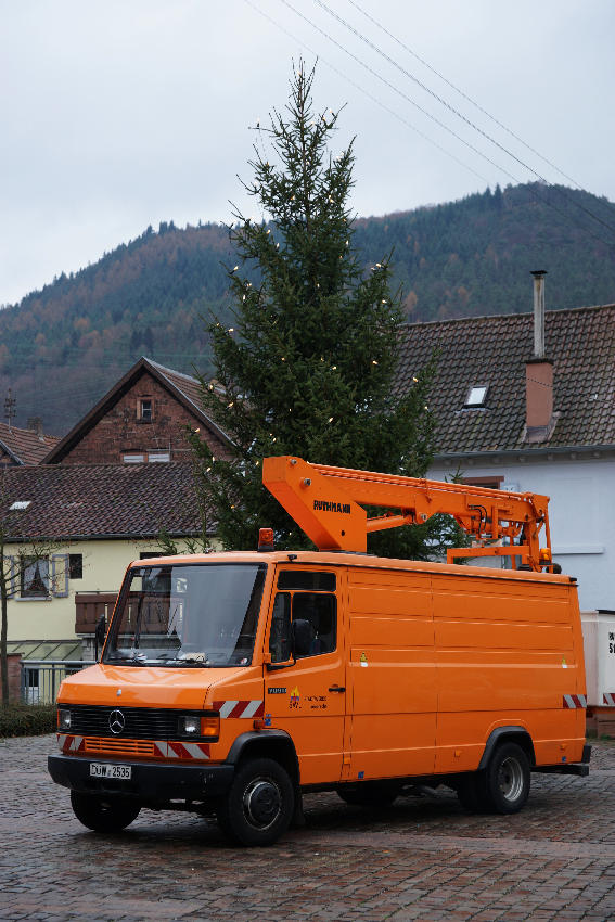 img-124504-Weihnachtsbaum-SW.jpg