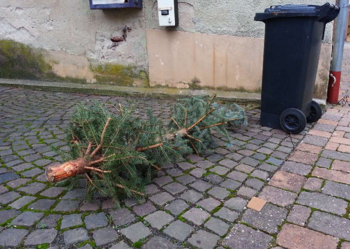 img-120833-Weihnachtsbaumentsorgung-002-HolgerKnecht.jpg
