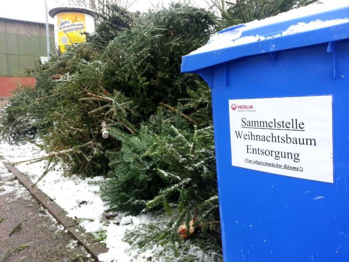 img-120445-Lambrecht-Weihnachtsbaumentsorgung-1.jpg