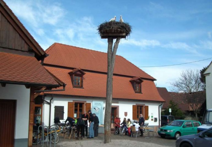 Nächste Codierungs-Aktion des ADFC Südliche Weinstraße ist am 26. Mai 2013.