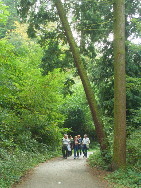 Weinheim: Fachkundige Führung durch den Exotenwald