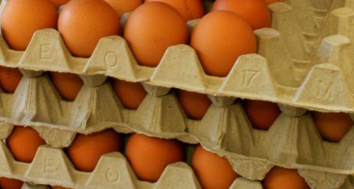 Dioxinbelastete Eier bei Probe in Walldürn-Reinhardsachsen gefunden