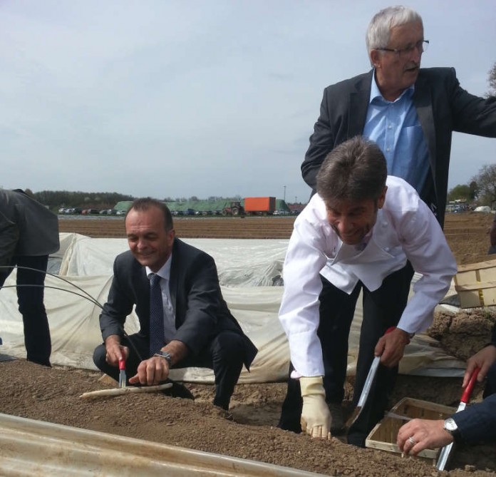 Landrat Dr. Fritz Brechtel (links) und Karl-Emil Kuntz (rechts) beim Spargelstich