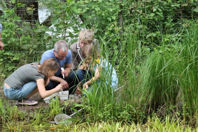 Bürgermeisterin Kubala mit Schülern beim Entdecken von Tiere und Pflanzen in heimischen Teichen