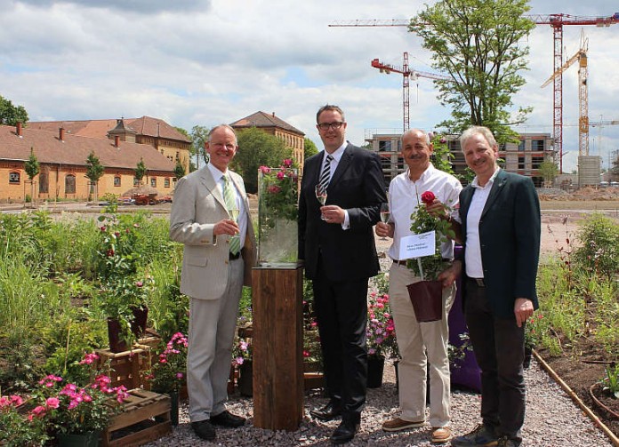 Der rheinland-pfälzische Sozialminister Alexander Schweitzer (SPD) taufte am 30. Juni im Rahmen einer Baustellenführung die »Landesgartenschau-Rose«.