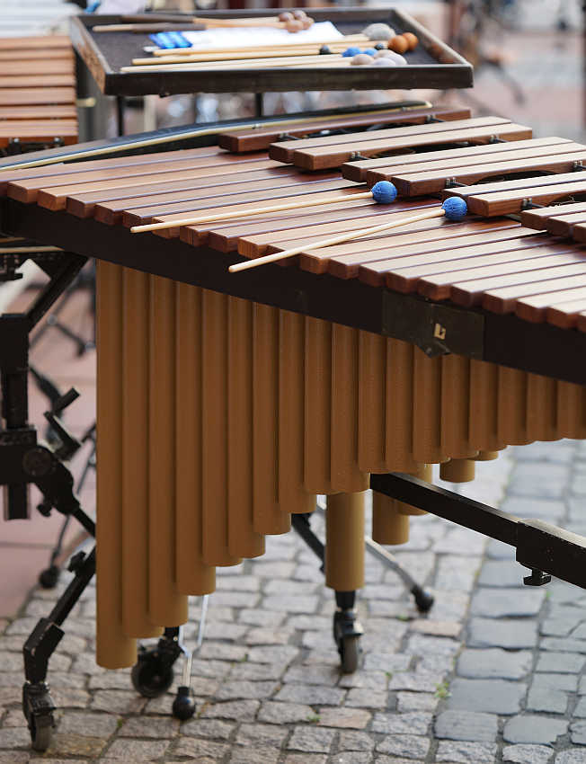 img-105651-Musikinstrumente-Xylophon-002-HolgerKnecht.jpg