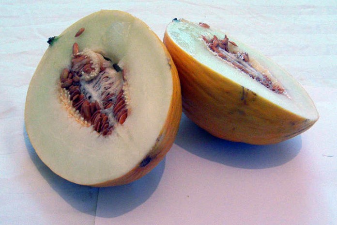 Die Aufbewahrung ist wichtig - Melonen können sehr schnell Krankheitskeime enthalten