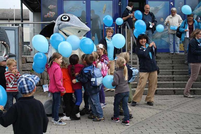 Zum Auftakt der Hai-Erlebniswochen am 12. September 2013 gedachten alle deutschen SEA LIFE Großaquarien gleichzeitig der 200 Millionen Haie, die jährlich sterben, 70 Millionen allein durch „Finning“ – das Abschneiden der Rückenflosse.