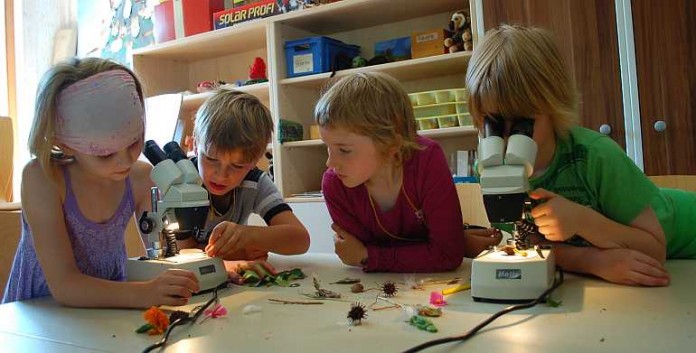Tiger, Pinguin und Erdmännchen: Tiere erleben in der Kinderferienwoche.