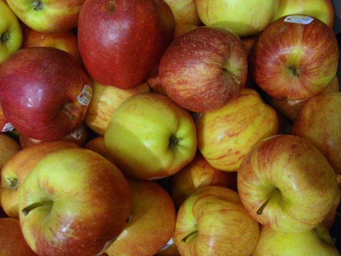 Nicht jedem ist bekannt wie gesund der heimische Apfel ist
