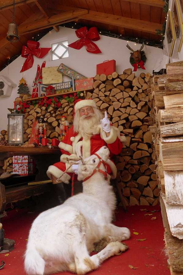 img-98302-Weihnachtsmann-Rentier.jpg