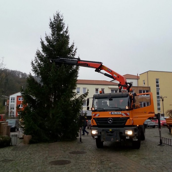 Am 25.11.2013 wurde der Tannenbaum, übrigens ein Lambrechter, gestellt.