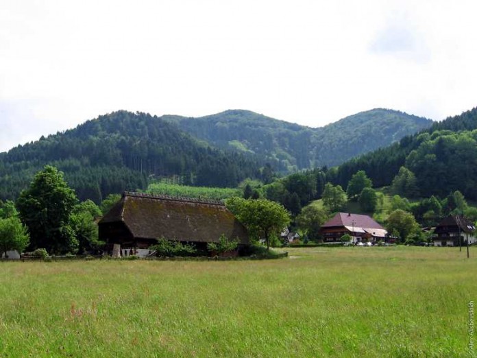 Ein wichtiger Schritt zur Erhaltung der Natur im Schwarzwald: Landtag in Stuttgart beschließt Nationalparkgesetz
