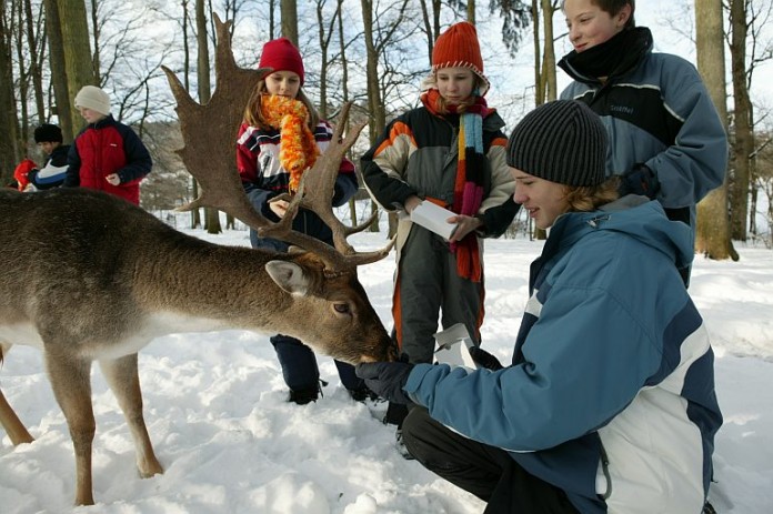 Das Wildparadies Tripsdrill hat während der Weihnachtsferien täglich von 9 bis 17 Uhr geöffnet.