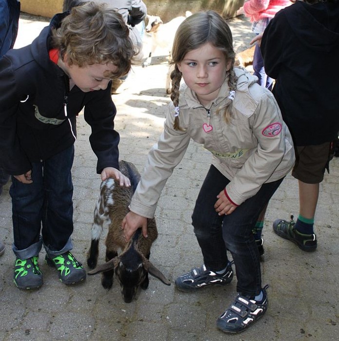 Streicheln, Bürsten, Füttern - ab sofort bietet die Zooschule ein Wohlfühlprogramm für die Ziegen im Streichelzoo an.