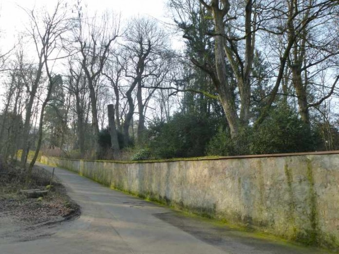 Stadt muss Eichen und Kastanien im Schlosspark fällen